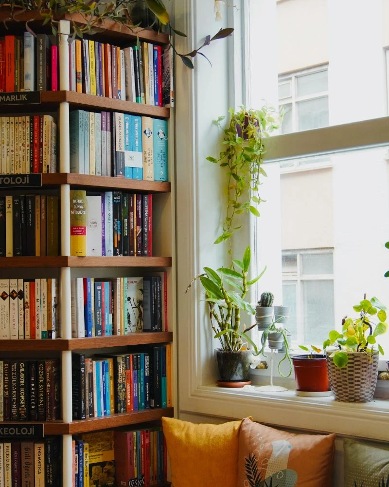 Cozy reading nook with a tall bookshelf, a sunny window ledge with potted plants, and yellow and orange cushions